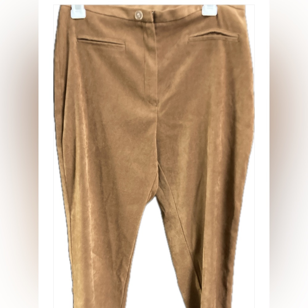 Express Camel Suede Pants